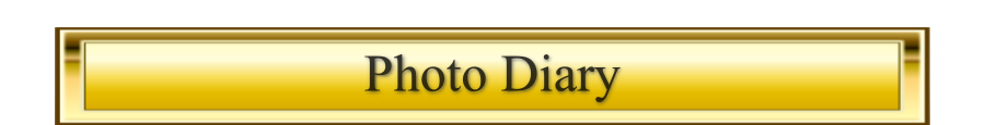 Photo Diary